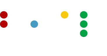 The Braille Program